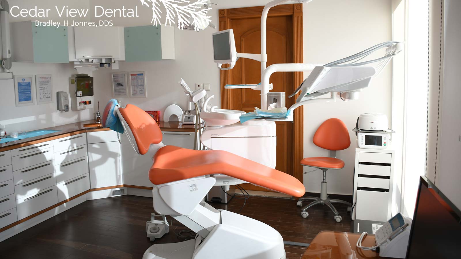 What Does a Periodontist Do? Cedar View Dental, Lynnwood, WA